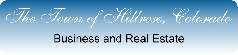 Business and Real Estate Ads