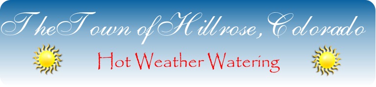 Hot Weather Watering